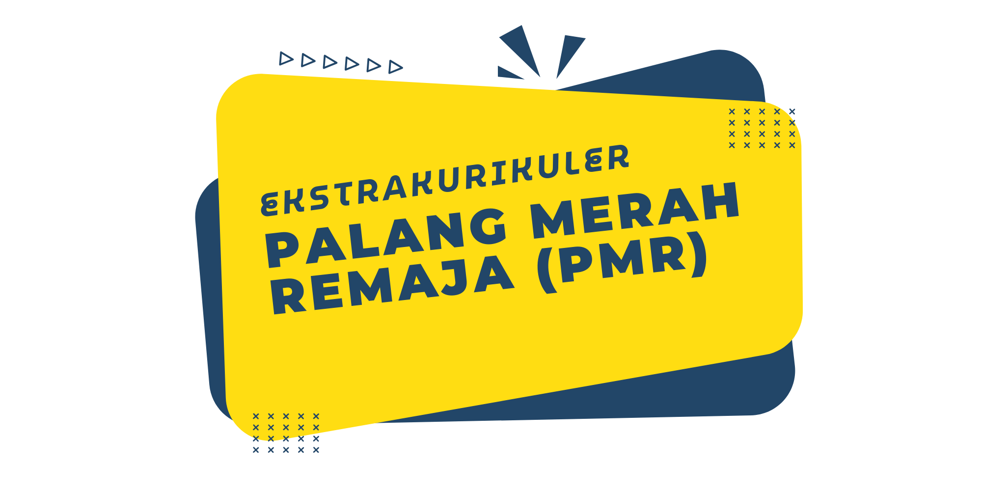 ekskl_pmr